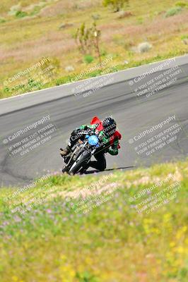 media/Apr-13-2024-Classic Track Day (Sat) [[9dd147332a]]/Group 3/Session 2 (Turns 5 and 6)/